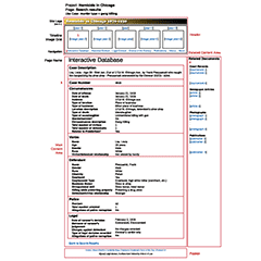 wireframe - Homicide results page